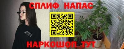 индика Кулебаки