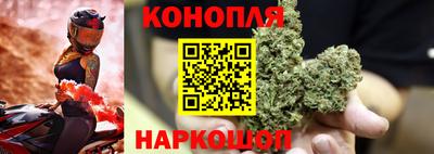 индика Кулебаки