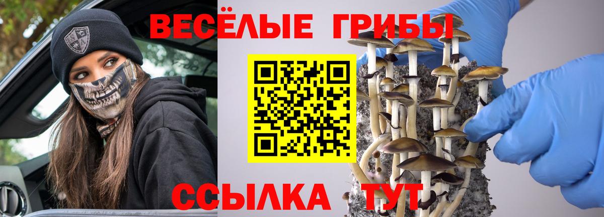 Псилоцибиновые грибы мухоморы  Вход с VPN  Краснокамск  Галлюциногенные грибы Psilocybine cubensis 